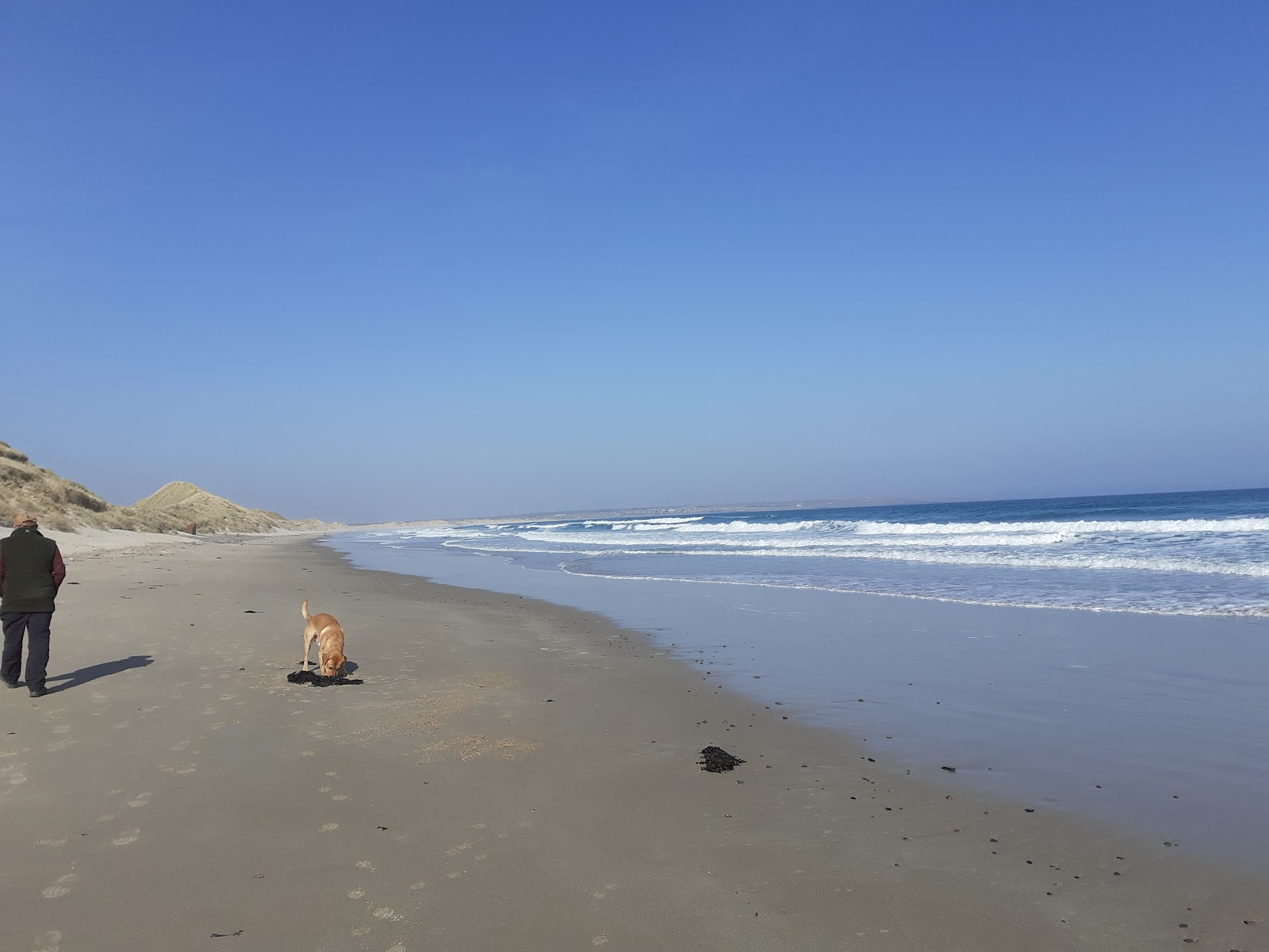 Photo de Reiss Sands Beach zone sauvage