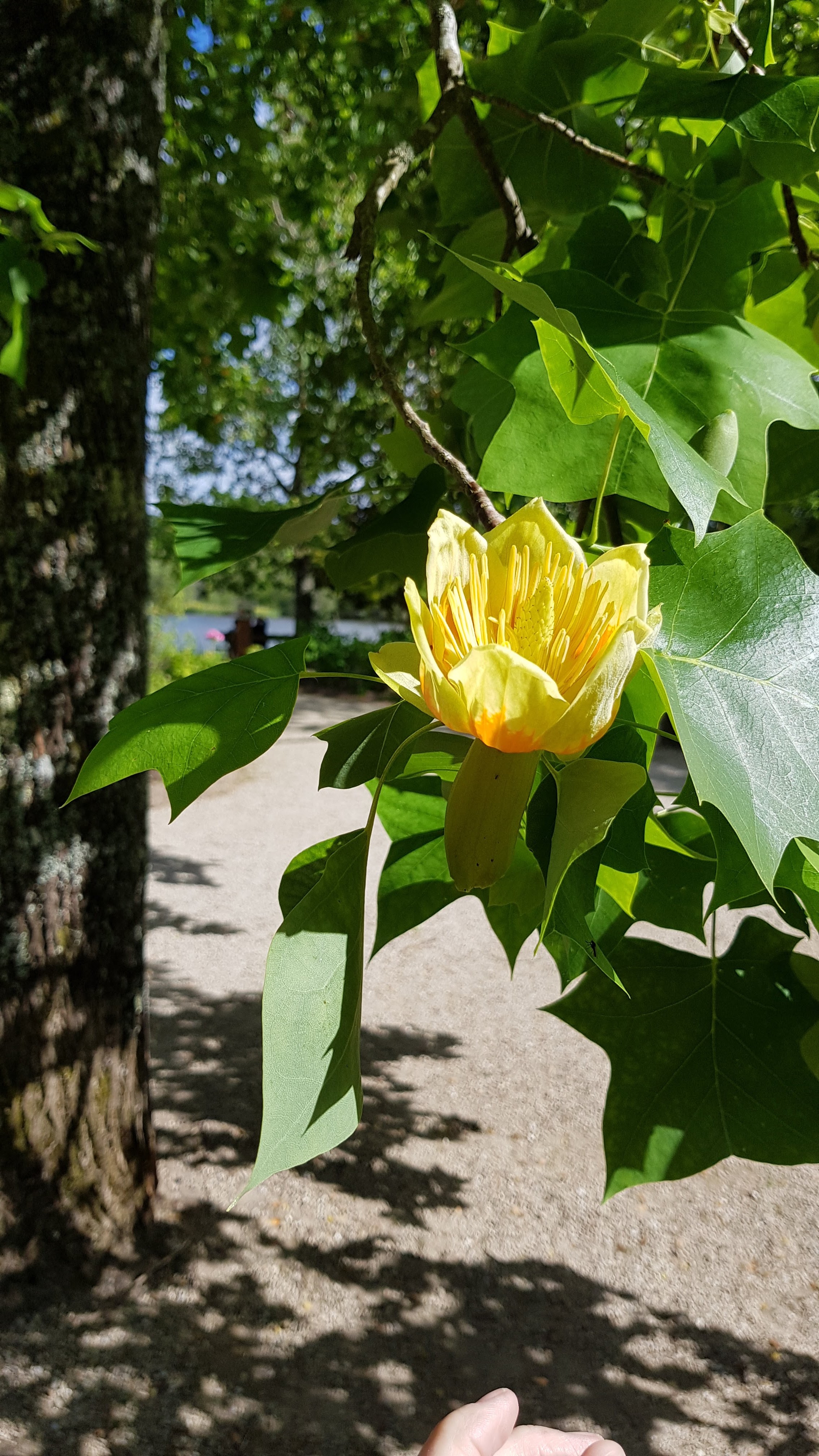 Photo n° 6 de l'avis de Mario.o fait le 11/05/2019 à 17:45