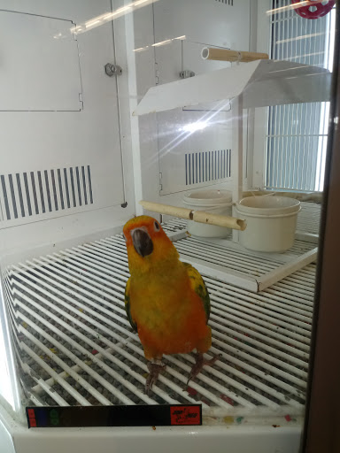 Pet Supply Store «Petco Animal Supplies», reviews and photos, 3401 Pineville-Matthews Rd, Charlotte, NC 28226, USA