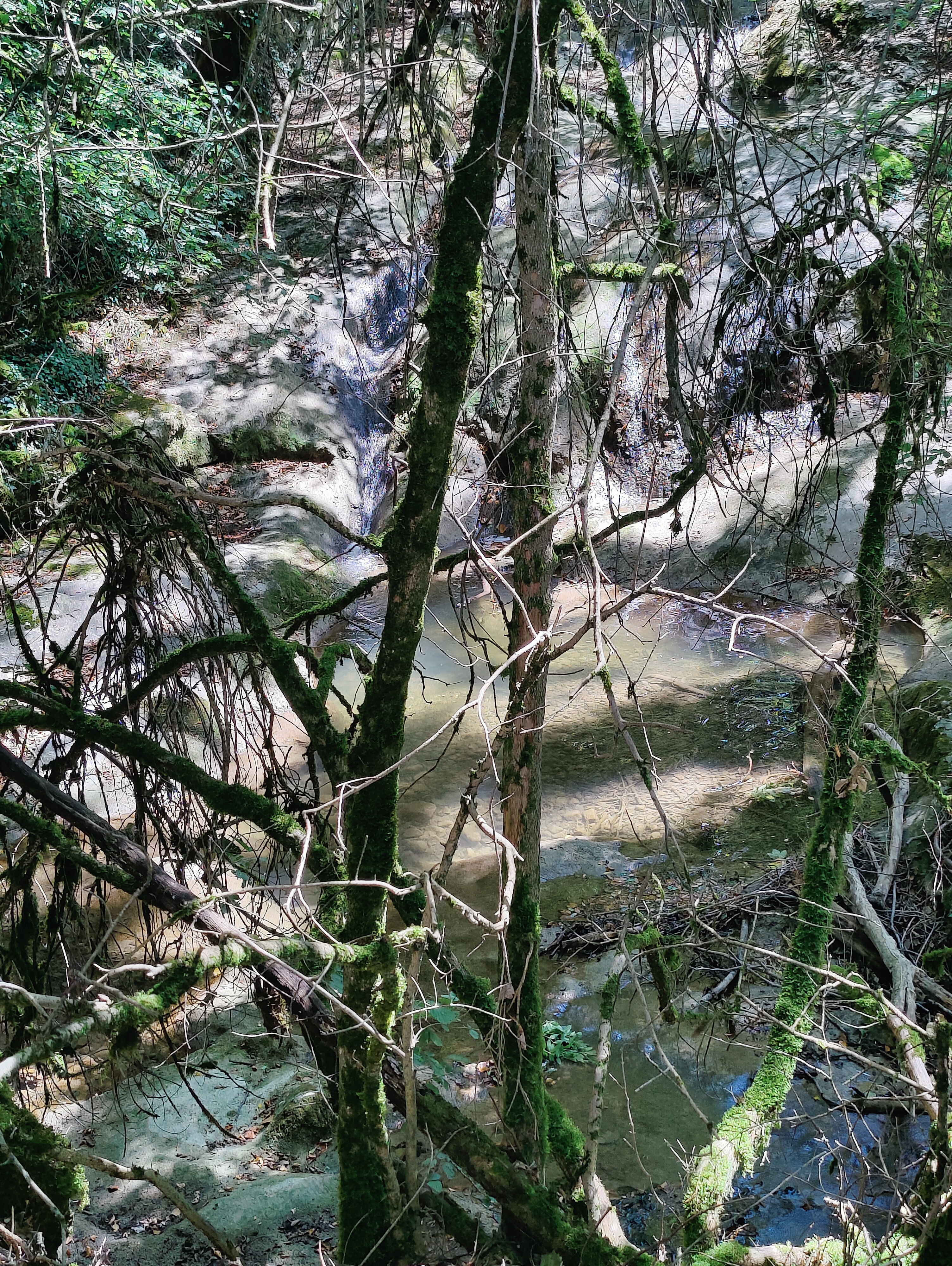 Photo n° 3 de l'avis de Hélène.o fait le 05/08/2023 à 16:59