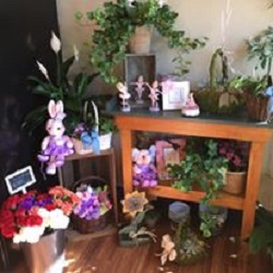 Florist «Valley Florist», reviews and photos, 301 Merrimack St, Methuen, MA 01844, USA