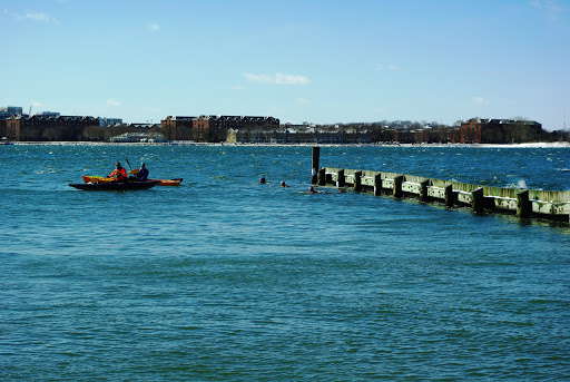 Community Center «Curley Community Center», reviews and photos, 1663 Columbia Rd, Boston, MA 02127, USA