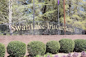 Swan Lake Iris Gardens image