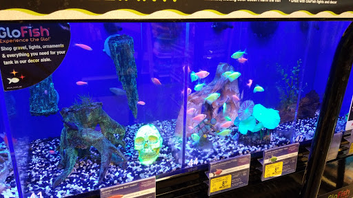 Pet Supply Store «PetSmart», reviews and photos, 211 W Alexander St A, Plant City, FL 33563, USA