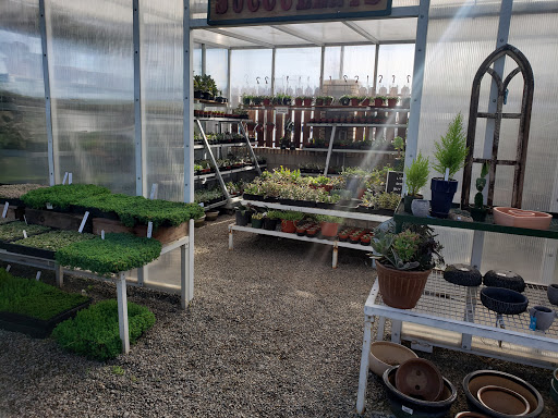 Greenhouse Visalia