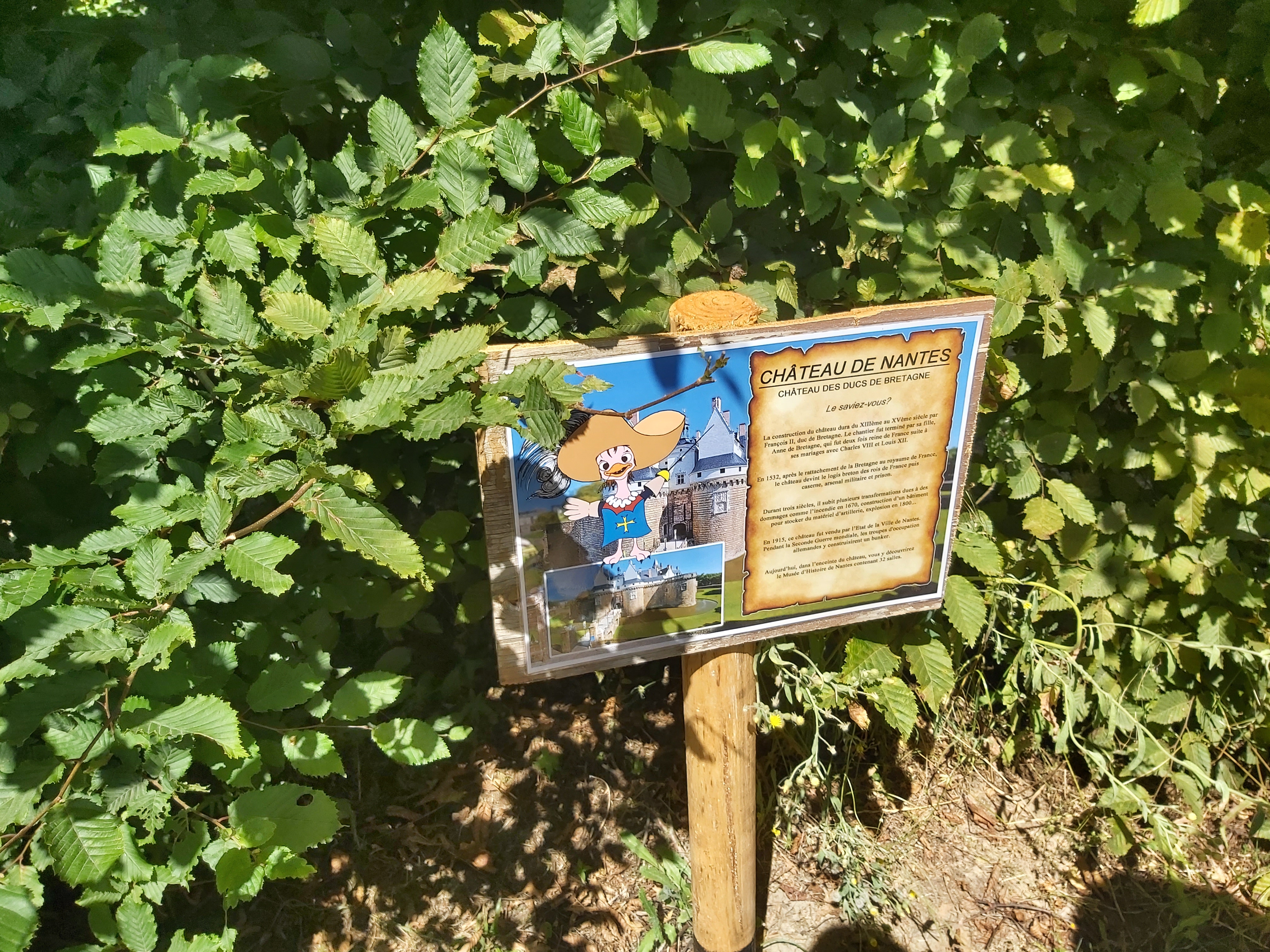 Photo n° 1 de l'avis de Guigeek_22. fait le 25/07/2020 à 21:01