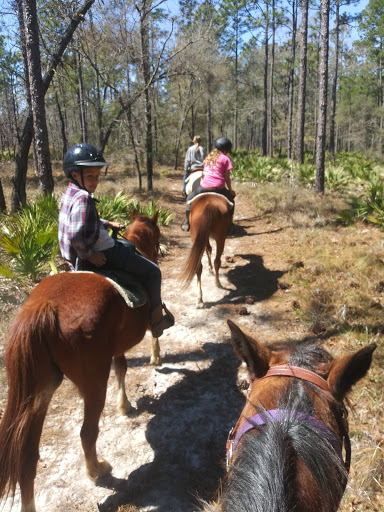 National Forest «Apalachicola National Forest», reviews and photos, Stateroad 13, Sopchoppy, FL 32358, USA