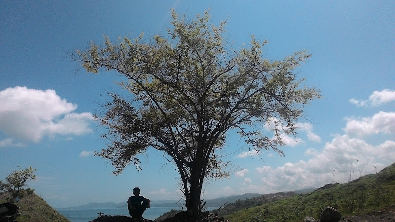 Gereja Pola Kalabahi