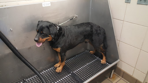 Pet Supply Store «Pet Supplies Plus», reviews and photos, 126 E Main St, Smithtown, NY 11787, USA