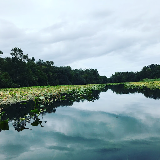 Canoe & Kayak Rental Service «Wekiva Island», reviews and photos, 1014 Miami Springs Dr, Longwood, FL 32779, USA