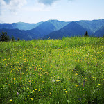 Photo n°3 de l'avis de Maurizio.a fait le 07/06/2023 à 16:56 sur le  Ristorante Da Baiocco à Lentiai