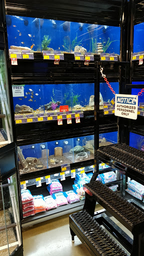 Pet Supply Store «PetSmart», reviews and photos, 2300 Gary Farm Blvd #600, Bowling Green, KY 42104, USA