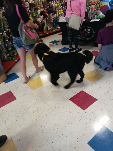 Pet Supply Store «Petco Animal Supplies», reviews and photos, 330 Orchard Park Rd, West Seneca, NY 14224, USA