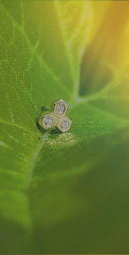 Tattoo Shop «Skin of A Different Color», reviews and photos, 2080 E New York St, Aurora, IL 60502, USA