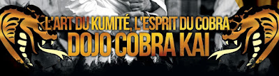 Dojo cobra kai casinca à Penta-di-Casinca