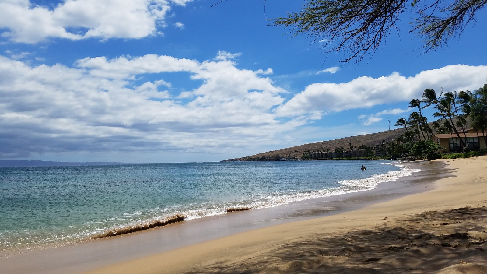 Coast Guard Beach'in fotoğrafı uçurumlarla desteklenmiş