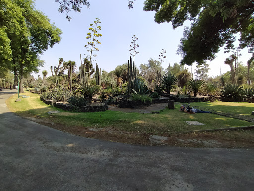 Jardín Botánico IB-UNAM