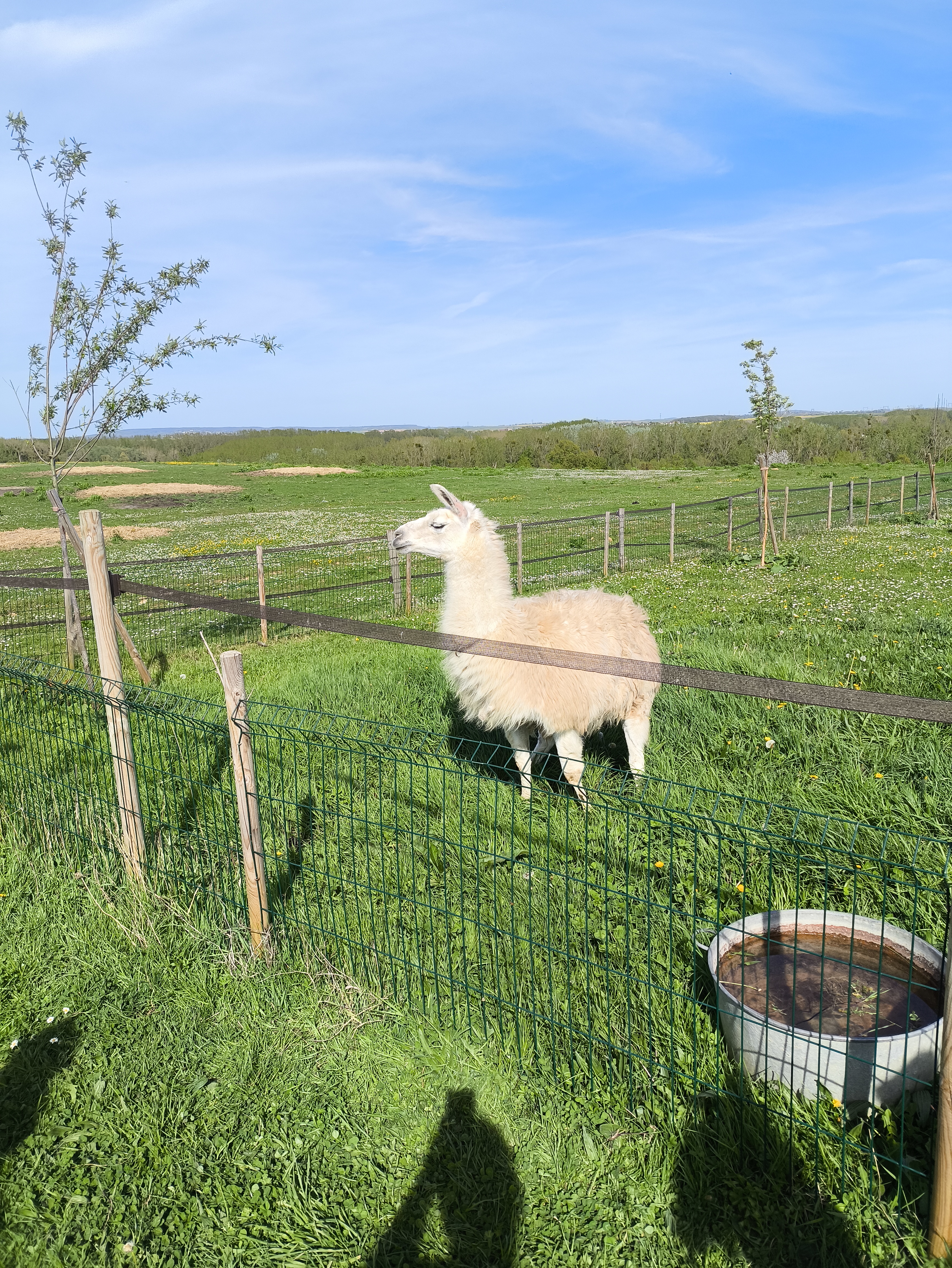 Photo n° 1 de l'avis de Pierre. fait le 13/04/2024 à 17:25