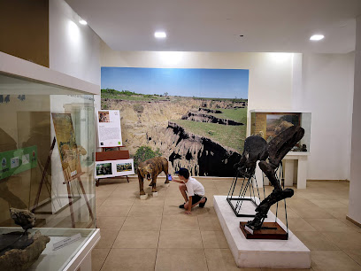 Museo Paleontologico Toropi