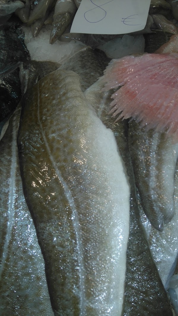 Imagen de Peixeria A Xoubiña (6 de 6)