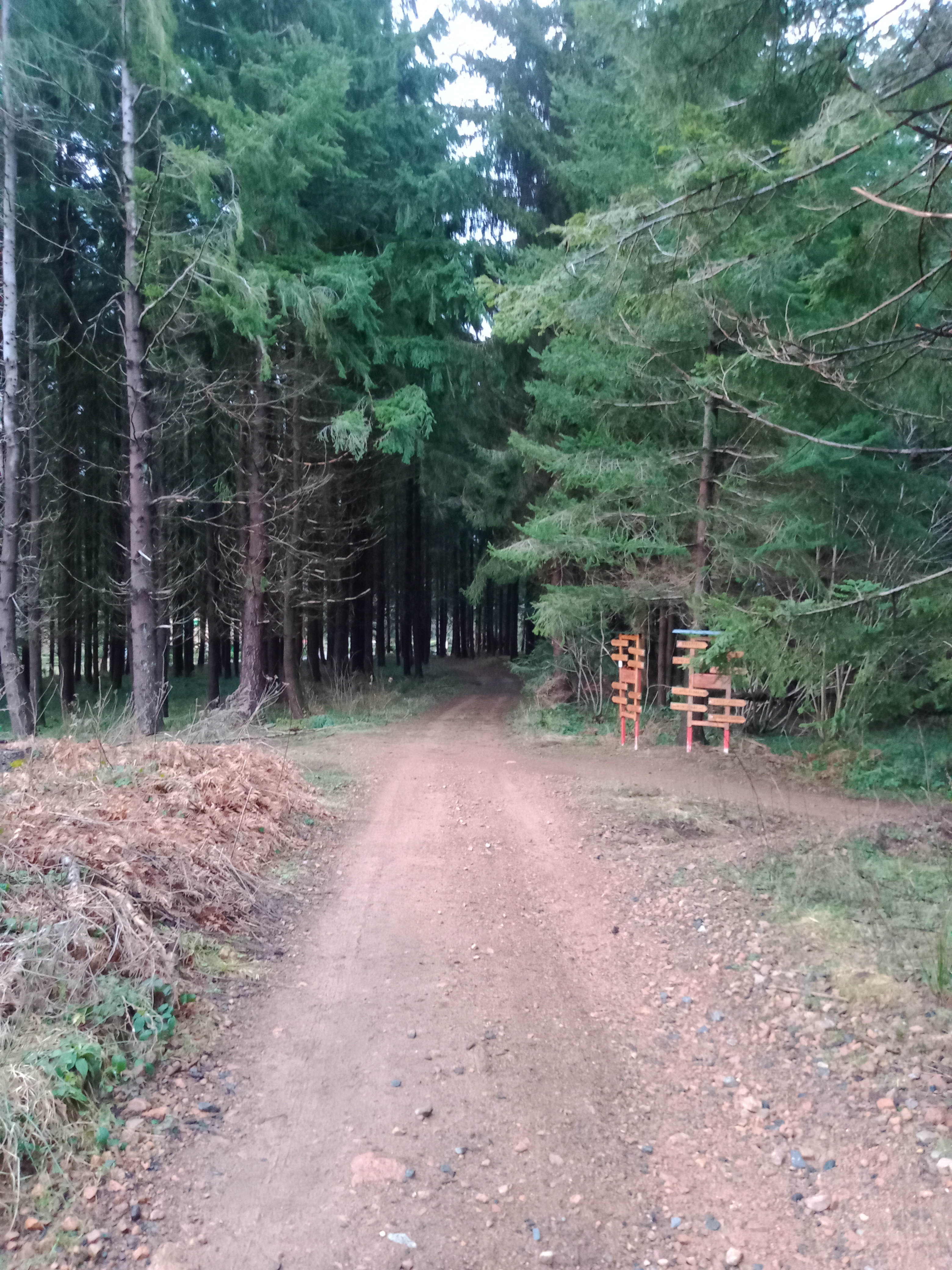 Photo n° 2 de l'avis de Roselyne.a fait le 03/03/2022 à 15:14