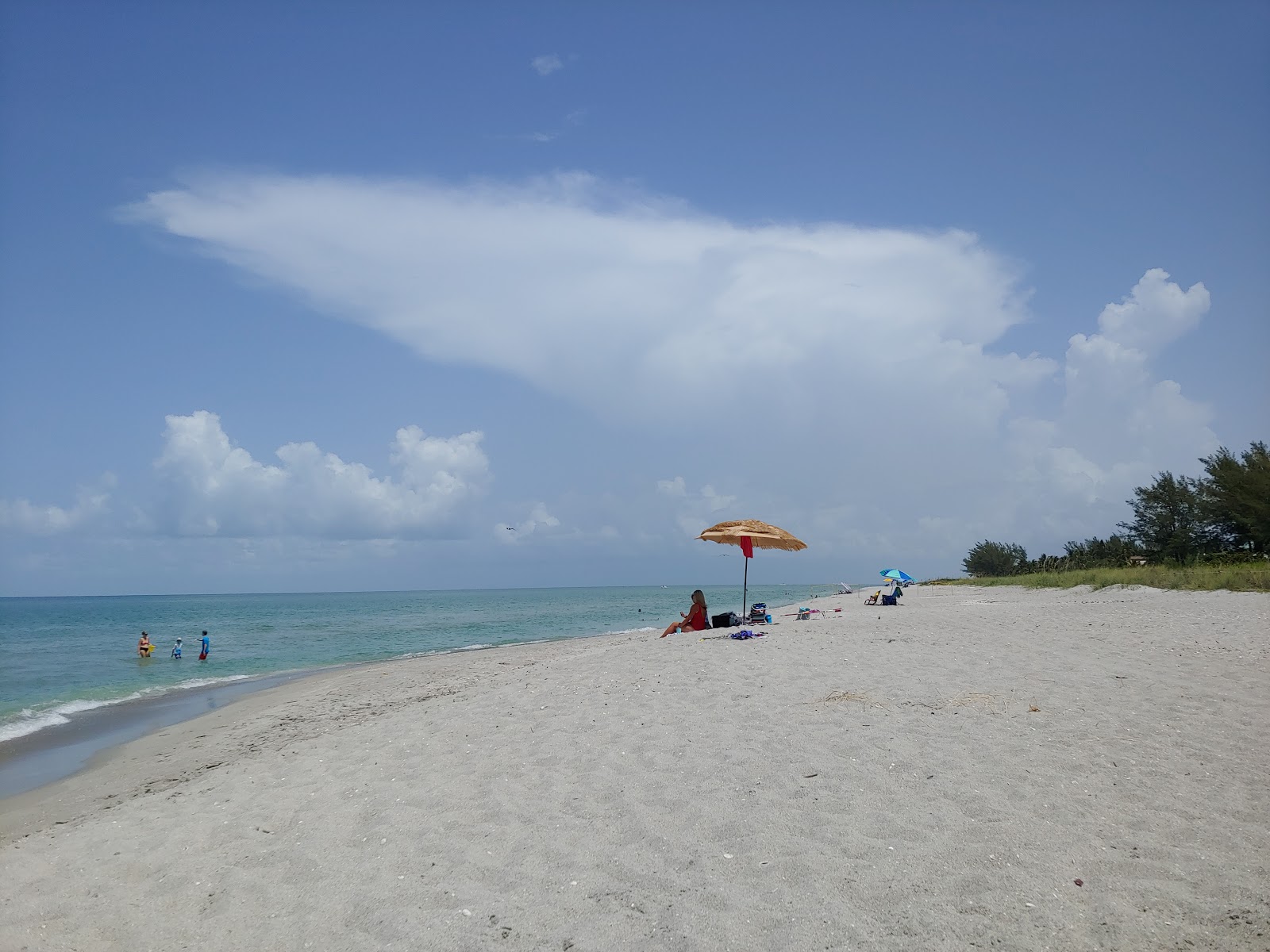 Foto di Turner beach e l'insediamento