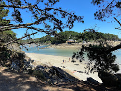 Plage de Minaouet'in fotoğrafı - rahatlamayı sevenler arasında popüler bir yer