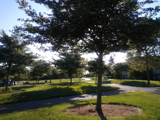 Park «Crossroads Water Spray Playground», reviews and photos, 999 165th Ave NE, Bellevue, WA 98008, USA