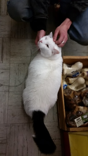 Pet Groomer «The Wagging Tail Pet Nutrition Center», reviews and photos, 337 U.S. 9, Cape May, NJ 08204, USA