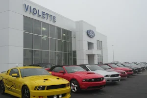 Violette Motors Ltd image