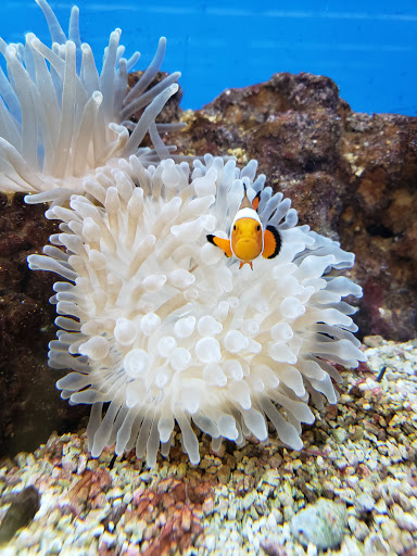 Pet Supply Store «Petco Animal Supplies», reviews and photos, 4755 U.S. 9, Howell, NJ 07731, USA