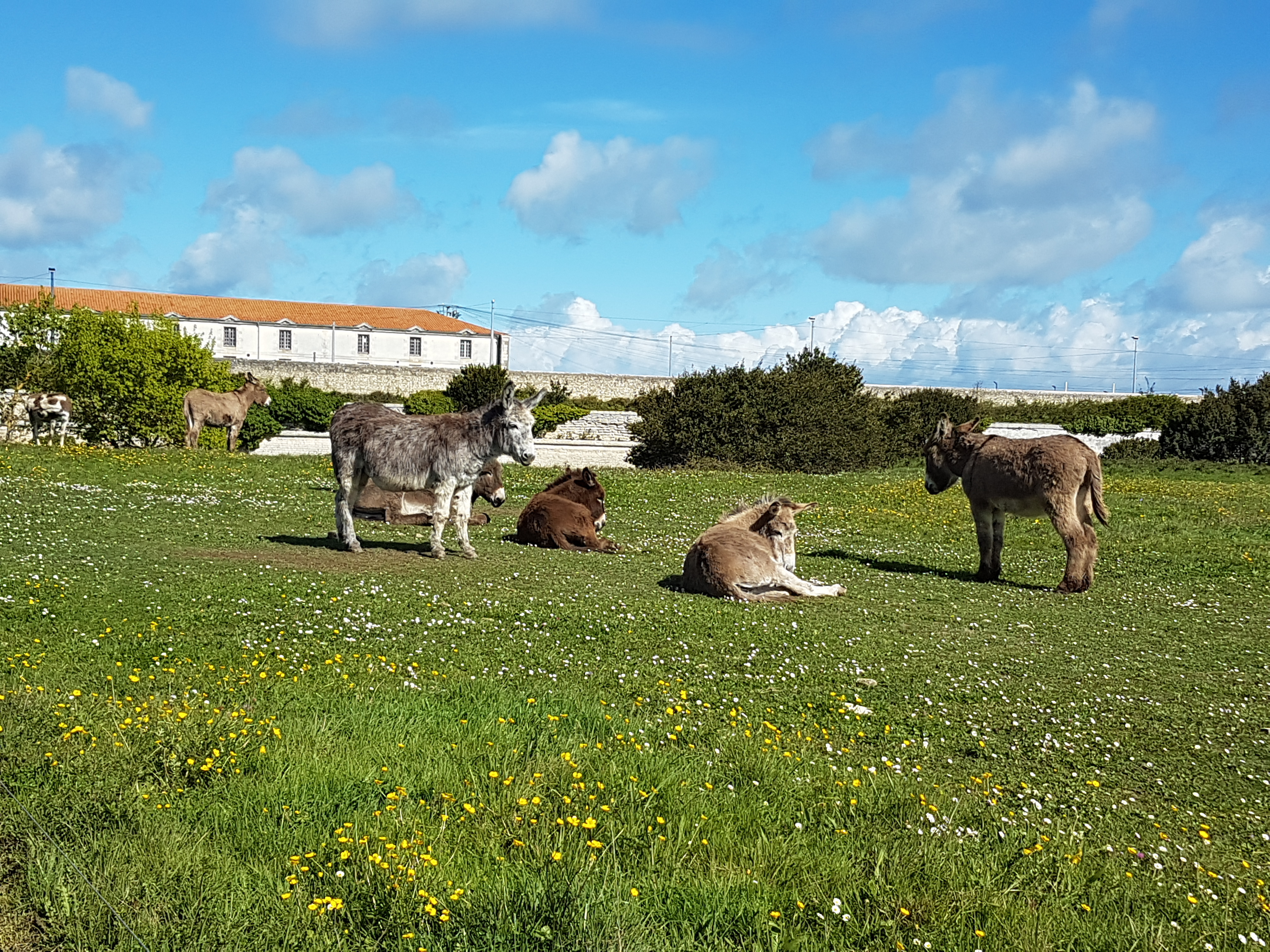 Photo n° 2 de l'avis de Marie-Pascale.c fait le 13/04/2019 à 07:07