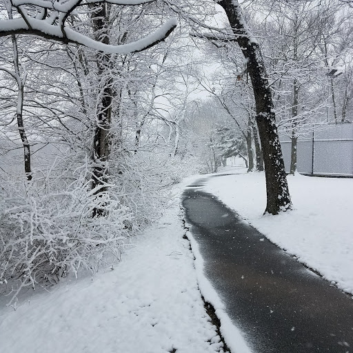 Park «Reverend Arthur Mackey Park», reviews and photos, 242 Elmwood Ave, Roosevelt, NY 11575, USA