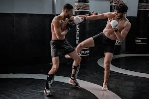 Club MMA - Jiu Jitsu - Grappling - Boxe à Toulon | Apex image