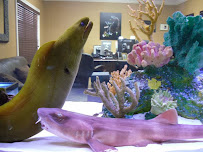 Creative Aquatics LLC - Photo 8 - Car repair in Tampa, FL, Tampa