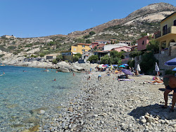 Foto von Spiaggia di Pomonte mit geräumige küstenlinie