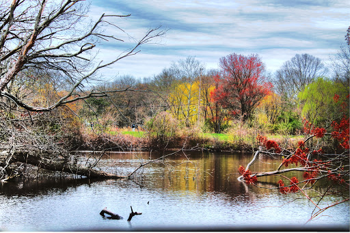 Golf Course «La Tourette Golf Course», reviews and photos, 1001 Richmond Hill Rd, Staten Island, NY 10306, USA