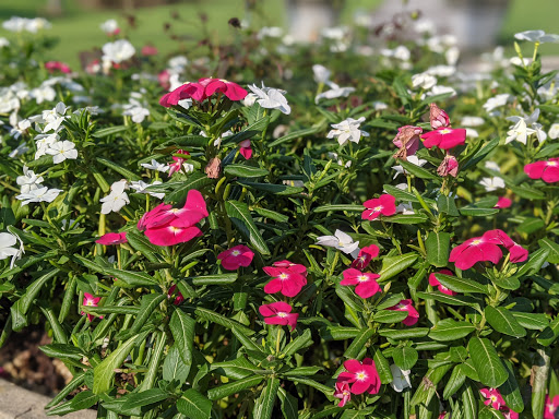 Park «Garrard Landing Park», reviews and photos, 8000 Holcomb Bridge Rd, Alpharetta, GA 30022, USA