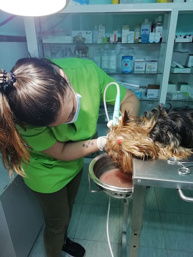 Clinica Veterinaria Sociedad Protectora De Animales Y Plantas De Huelva