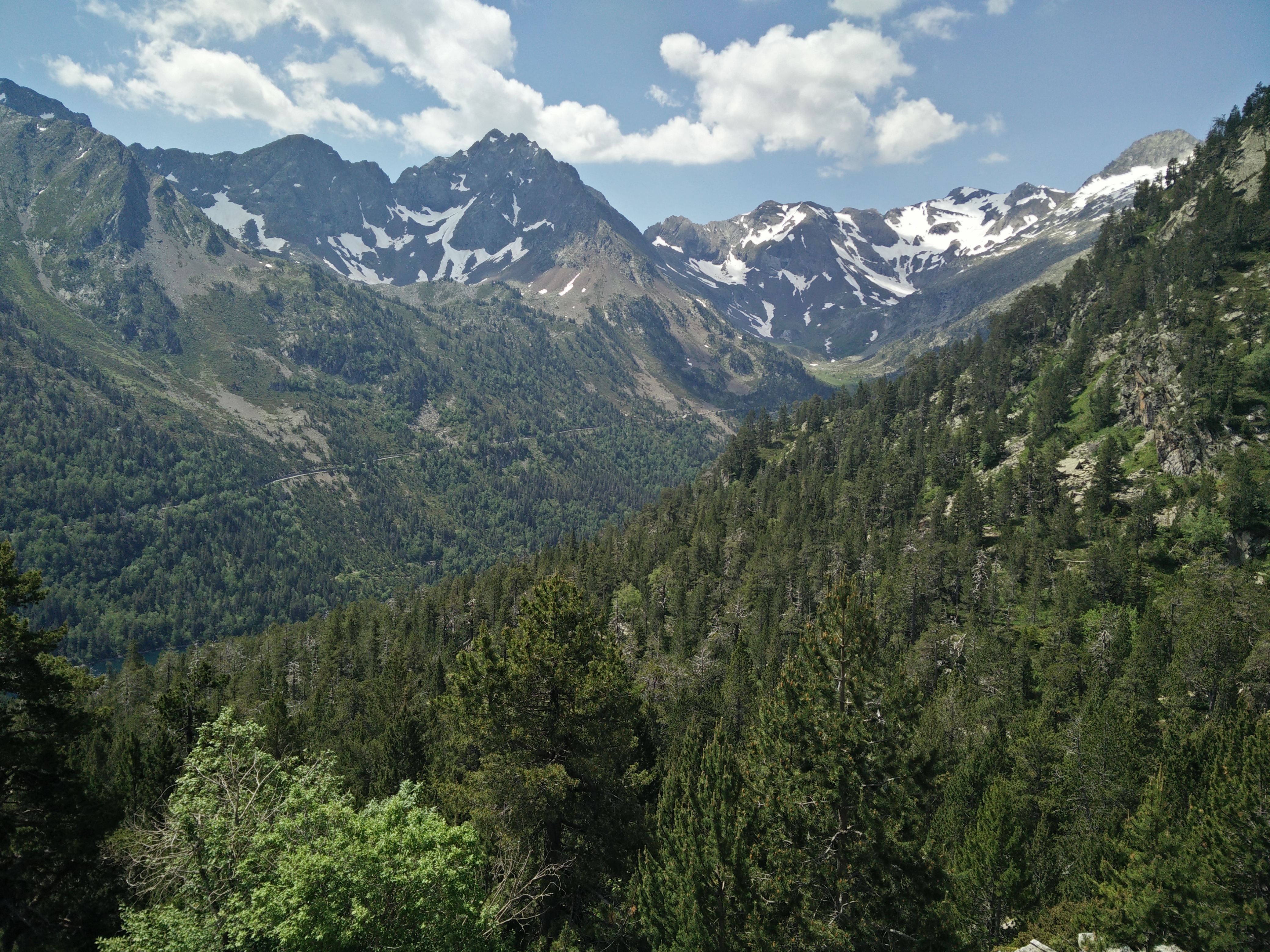 Photo n° 13 de l'avis de LOUIT.O fait le 25/06/2020 à 13:20