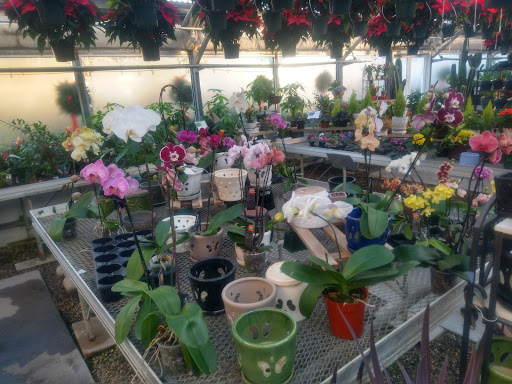 Florist «Nunan Florist & Greenhouses», reviews and photos, 269 Central St, Georgetown, MA 01833, USA