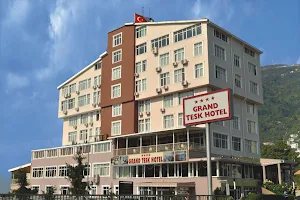 Grand Hotel Tesk image