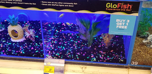 Pet Supply Store «PetSmart», reviews and photos, 916 Loganville Hwy, Bethlehem, GA 30620, USA