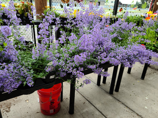 Hardware Store «Lincoln Creek Lbr Ace Hardware», reviews and photos, 1621 Harrison Ave, Centralia, WA 98531, USA