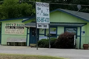 Sylvester Spa and Salon image