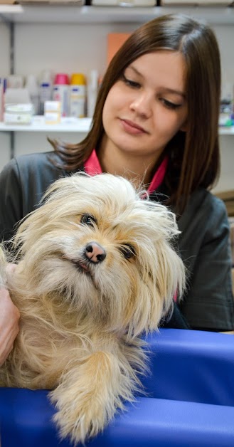 clinique vétérinaire vetter Neuilly-sur-Seine