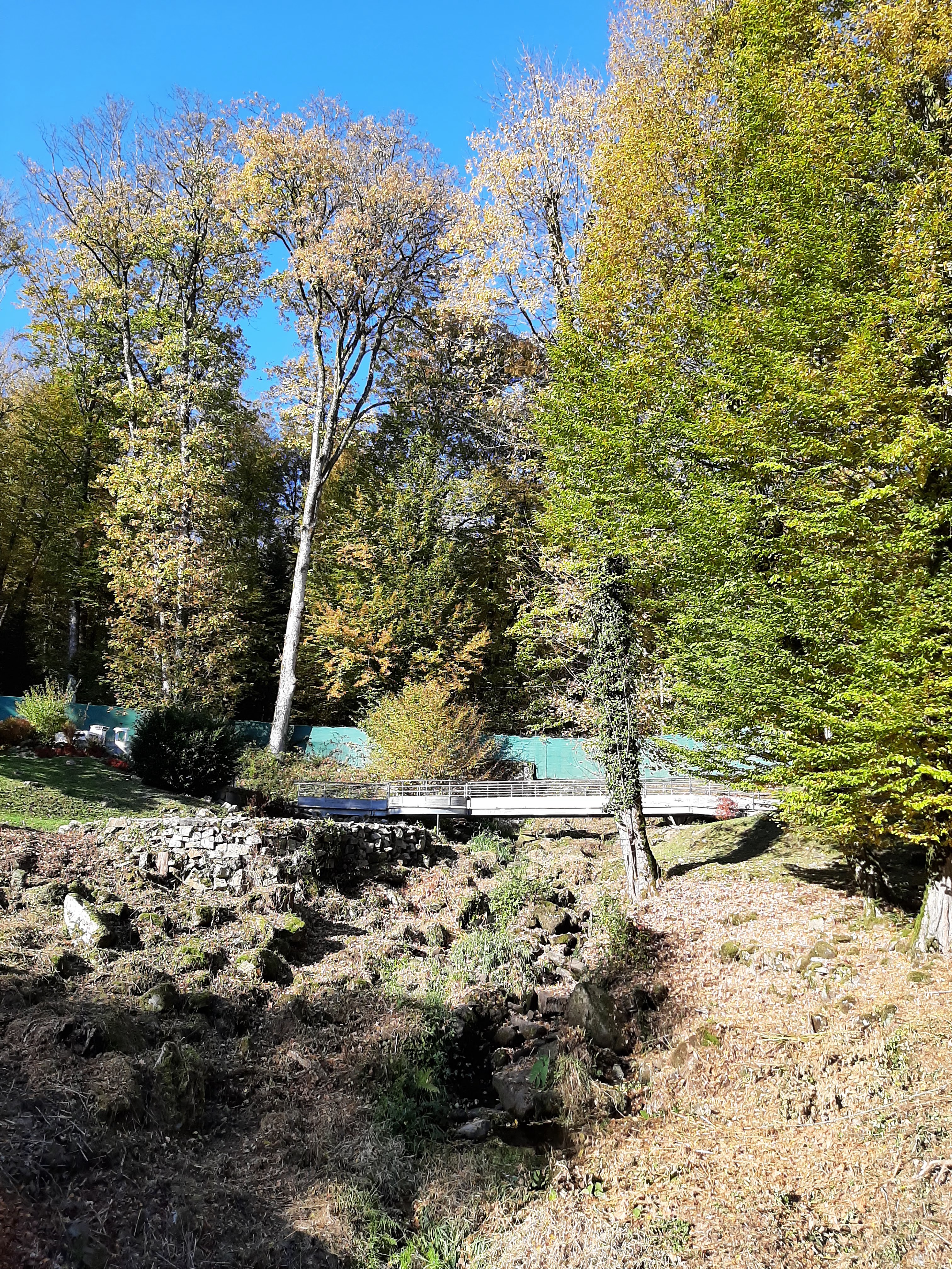 Photo n° 3 de l'avis de Isa.e fait le 26/10/2021 à 17:13