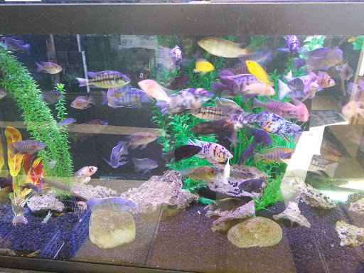 Pet Supply Store «Exotic Aquatic», reviews and photos, 275 E Oakland Park Blvd, Fort Lauderdale, FL 33334, USA