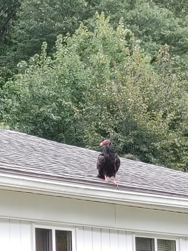 Nature Preserve «Red Oaks Nature Center», reviews and photos, 30300 Hales St, Madison Heights, MI 48071, USA