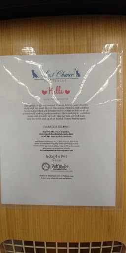 Pet Supply Store «Petco Animal Supplies», reviews and photos, 226 Thornton Drive, Dickson, TN 37055, USA